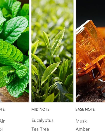 Tuqila Luxury Waterless Diffuser Oil Infinity, Essential Scent Oil Usage Cold Air Waterless Diffuser, Scents Oils for Home Bottle120 ML Natural Flavour