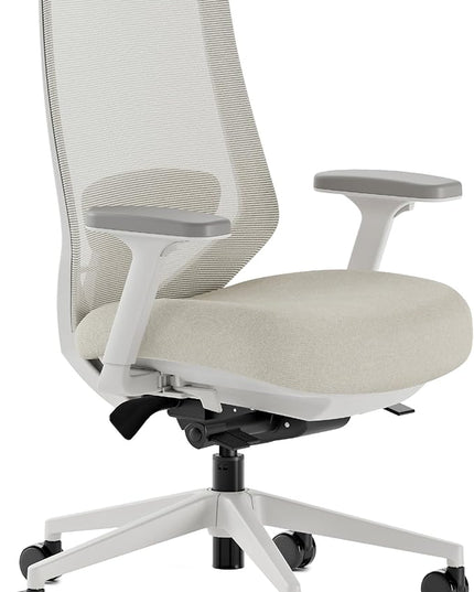 Branch Ergonomic Chair Pro - Mesh Office Chair with 14 Points of Adjustment - Height, Depth & Tilt Adjustable - 5D Armrests - Forward Tilt, Smooth Recline, and Lumbar Support - Shore