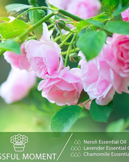 Neroli 3.38fl.oz Essential Oil, PHATOIL Pure Aromatherapy Oils for Diffuser, Humidifier, Perfect for DIY Soap, Candle, Bath Bombs Making(100ml)