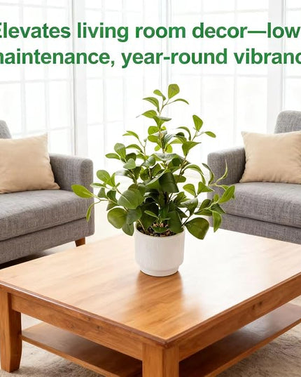 Ewtogift 19'' Artificial Ficus Plant in White Textured Ceramic Pot Realistic Faux Greenery with Lifelike Leaves Fake Plants for Indoor Home Office Bathroom Shelf Desk Tabletop Decor