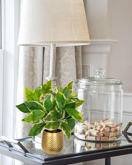 Oairse Articicial Plants Indoor Small Fake Plants in Pots Faux Pothos N‘ Joy Potted Plant Fake Indoor Plants with Gold Pots for Bathroom Living Room Office Desk Shelves