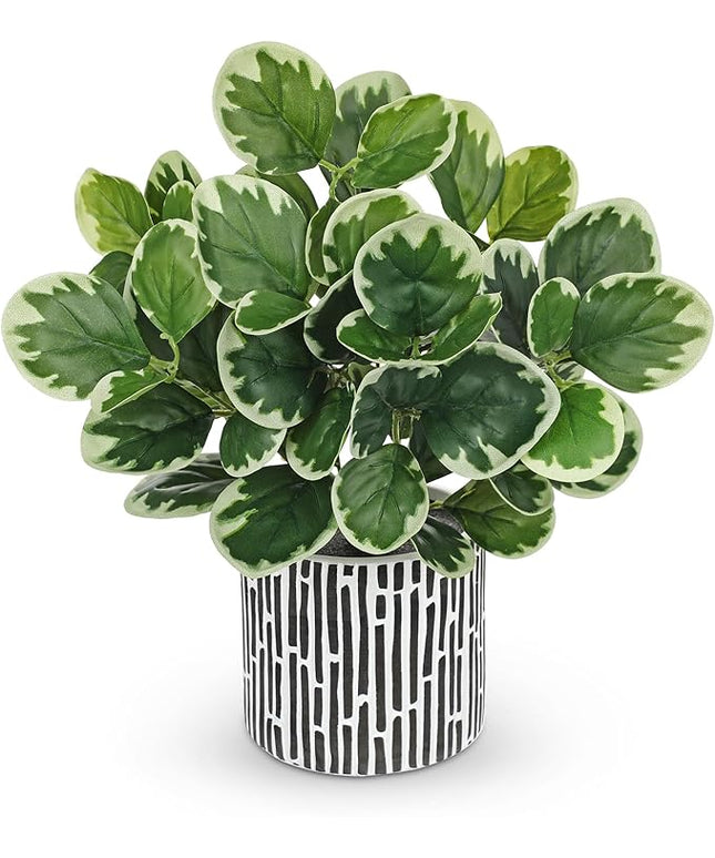 13" Artificial Plants Indoor Small Fake Plant in Ceramic Pot, Silk Plants for Home Decor Indoor, Faux Potted Plant for Shelves, Desks, Home, Room, Office, Bedroom, Farmhouse, Entryway, Tabletop Decor