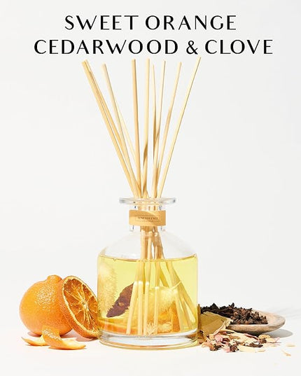 Benevolence LA Reed Diffuser, Orange, Cedarwood & Clove Scent Diffuser for Home with Oil Diffuser Sticks | Sun Kissed Collection Diffusers for Home