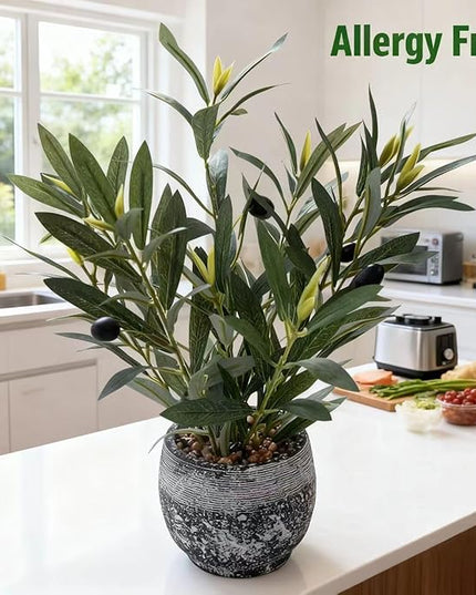 Ewtogift Indoor Faux Olive Plant 12 inch Artificial Silk Leaves in Elegant Planter Perfect Fake Olive Branches with Realistic Trunk and Lifelike Fruits Tabletop Greenery Decor for Home Office