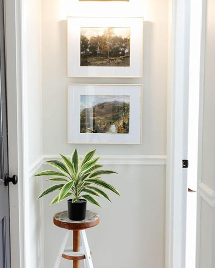 Artificial Plants Indoor with Pot, 18" Fake Potted Plants Medium Artificial Dracaena Plant in Black Pot Faux Tropical Plants for Bathroom Living Room Office Desk Shelf Decor