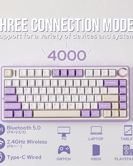 EPOMAKER x Aula F75 Gasket Mechanical Keyboard, 75% Wireless Hot Swappable Gaming Keyboard with Five-Layer Padding&Knob, BT/2.4GHz/USB-C, RGB (Purple, LEOBOG Reaper Switch)