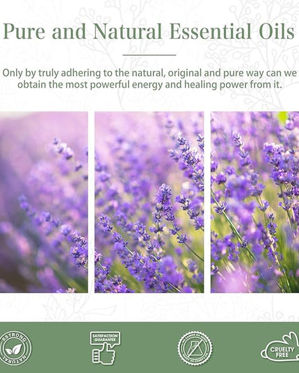 Lavender Essential Oil 1.01fl.oz/30ml, PHATOIL Lavender Oils Long Lasting Scents for Aromatherapy, Diffuser, DIY Soap and Candle Making