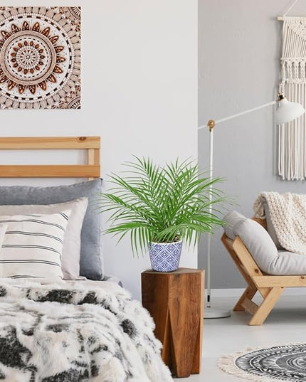 Hollyone Large Artificial Potted Plants Fake Palm Plants 16" Faux Green Plant Plastic Tropical Palm Tree in Blue and White Ceramic Pots Bohemian for Home Room Office House Indoor Decoration