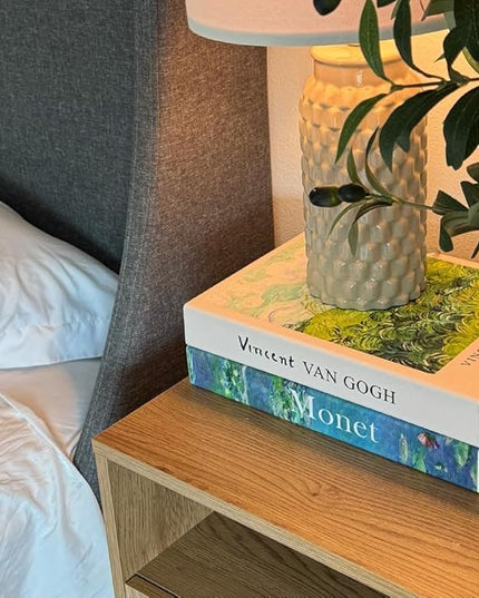 Book Shape Decorative Cable Management Box - Expandable Cable Organizer Box with Magnetic Closure for Home & Office (Gogh Monet, Large)