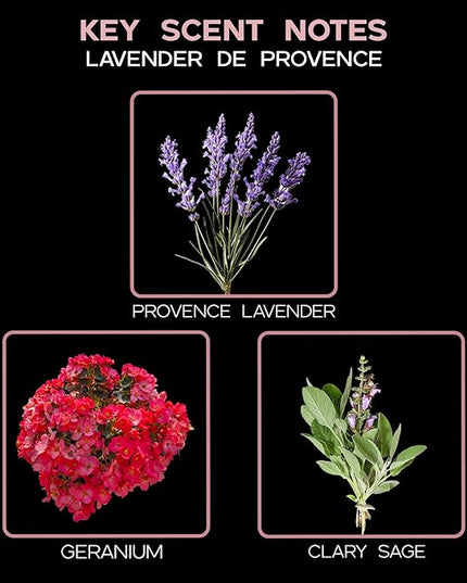 LOVSPA Reed Diffuser Set, Lavender De Provence Scented Oil Diffuser with Sticks, Home Fragrance Accessories for Bathroom Shelf Decor, Aroma Diffusers for Home or Office Desk, USA Made