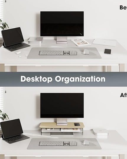 Fenge Acrylic Monitor Stand Riser, 23.6 Inches Monitor Stand with Metal Storage, 2 Tier Acrylic Computer Riser for Desk, Clear Laptop Stand for PC, Laptop, Printer, TV