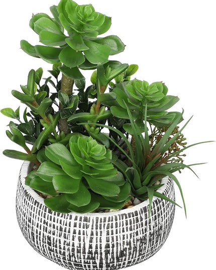 Villa Como 10” Large Succulents Plants Artificial in Ceramic Pots Potted Faux Succulent Arrangement with Black Bowl Pots Fake Desk Succulents Plants for Home Bathroom Shelf Table Indoor Decor