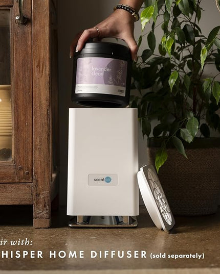 ScentAir Whisper Home Monthly Plug-in Refill, Fragrance Cartridge for Home and Office, Amazon Exclusive, Lavender & Ylang