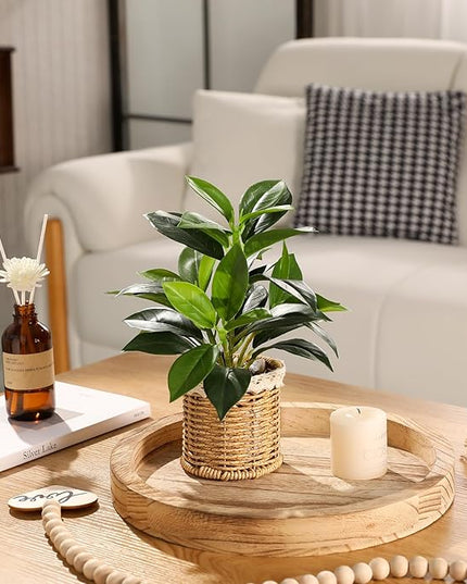Nubry 2 Pack Fake Plants Artificial Potted Plants with Weaved Pot for Shelf & Table Desk | Perfect for Home Office Bathroom Farmhouse Room Coffee Table Decor 10‘’