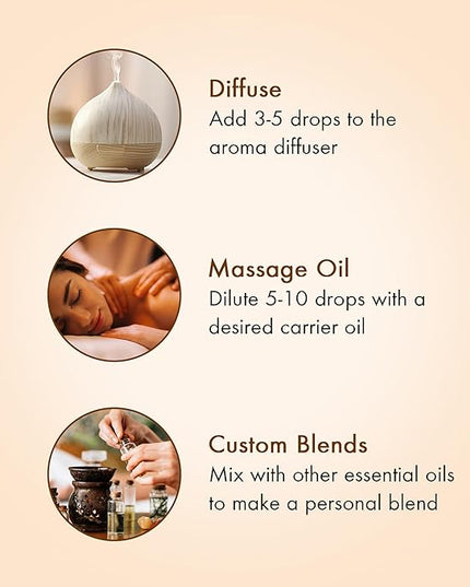 Majestic Pure, Yoga Essential Oil Gift Set | 100% Pure & Natural Set for Yoga, Meditation and Self-Care Rituals | Frankincense, Tea Tree, Lavender, Peppermint, Lemongrass, Chamomile - Pack of 6