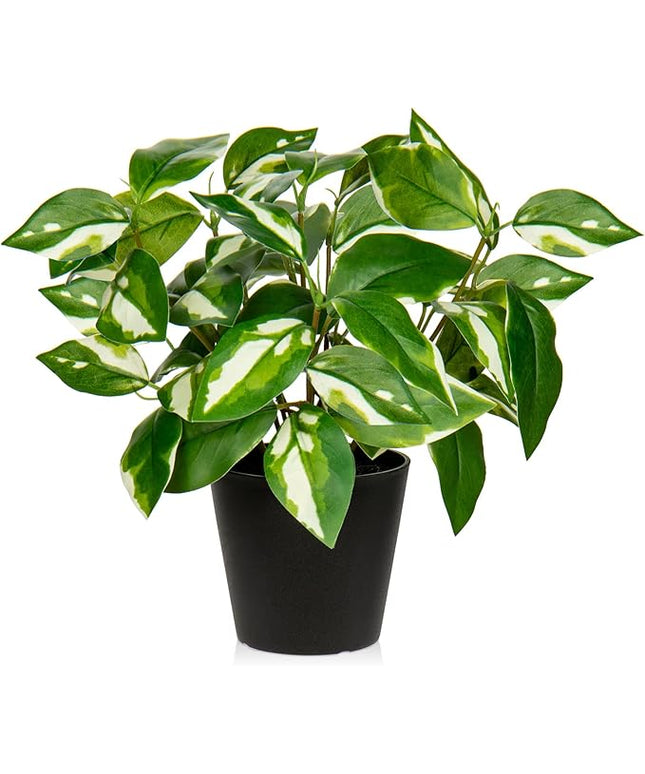Oairse Artificial Plants Indoor Small Fake Plants in Pots Faux Pothos N‘ Joy Potted Plant Fake Indoor Plants with Black Pots for Bathroom Living Room Office Desk Shelves