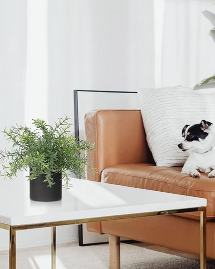 3 Pack Small Fake Plants for Shelf Decor Accents with Ceramic Pot Artificial Potted Plants for Rustic Farmhouse Decor Faux Plants Indoor Fake Potted Plants Artificial for Home Office Bookshelf Decor