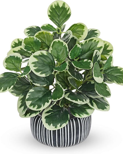 13" Artificial Plants Indoor Small Fake Plant in Ceramic Pot, Silk Plants for Home Decor Indoor, Faux Peperomia Potted Plant for Shelves, Desks, Home, Room, Office, Bedroom, Entryway, Tabletop Decor