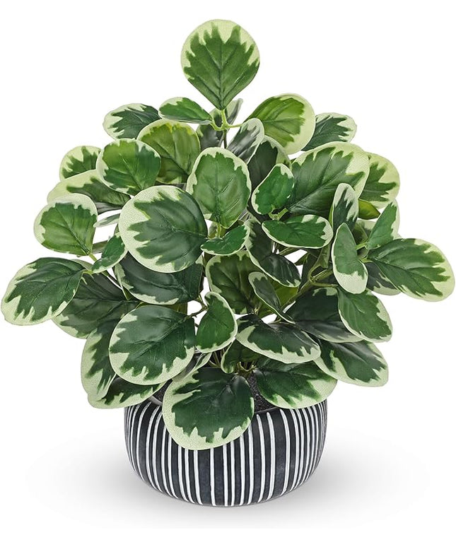 13" Artificial Plants Indoor Small Fake Plant in Ceramic Pot, Silk Plants for Home Decor Indoor, Faux Peperomia Potted Plant for Shelves, Desks, Home, Room, Office, Bedroom, Entryway, Tabletop Decor