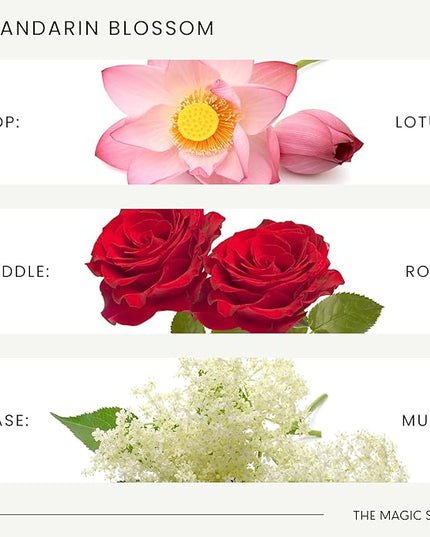 The Magic Scent Mandarin Blossom Diffuser Oil - Hotel & Home Luxury Scents Inspired by Maldives - Diffuser Oil Scents for Home Designed for Use in All Diffusers - 16.9 fl oz, 500 mL