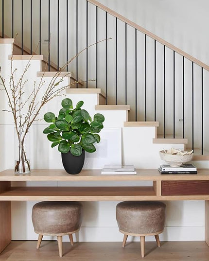 Villa Como 14.5" Artificial Plants Indoor Home Decor, Fake Potted Silk Plants for Shelves Living Room Decorative, Small Artificial Office Desk Plants in Pots, Faux Peperomia Hope Tropical House Plant