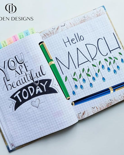 Dryden Designs Fountain Pen. Medium Nib Premium Box | 6 Ink Cartridges Included (Luscious Pink)