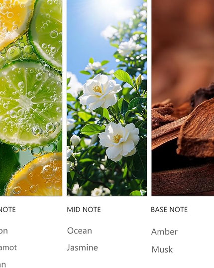 Waterless Essential Oil 20ml Blue Crystalline Hotel Scent- Lemon, Bergamot, Ocean, Jasmine, Amber& Musk Fragrance for Home, Hotel, Office, Car Aroma Scent Oils for Diffusers
