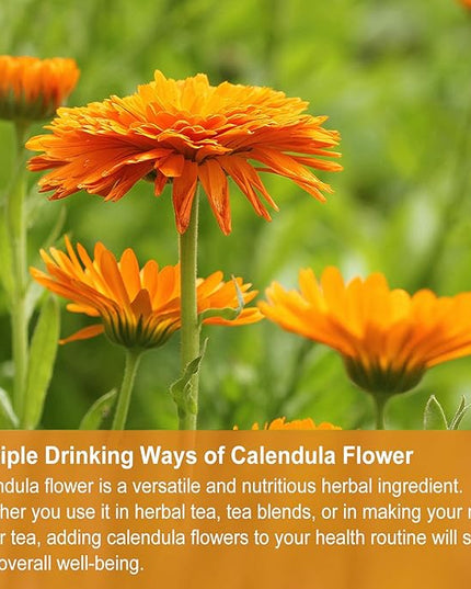 Jarteela Calendula Tea Bags, 1.5g x 36 - Natural, Non-GMO, Caffeine-free - Supports Digestion & Skin Health