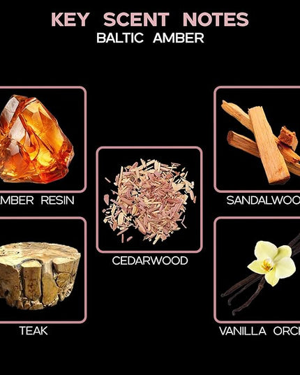 LOVSPA Reed Diffuser Set, Baltic Amber Scented Oil Diffuser with Sticks, Home Fragrance Accessories for Bathroom Shelf Decor, Aroma Diffusers for Home or Office Fall Decor, USA Made