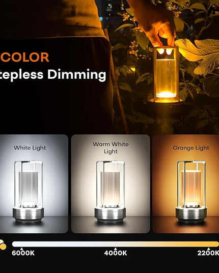 Portable Metal Table Lamp for Indoor/Outdoor ,Rechargeable Cordless LED Lamp, 3-Colour Infinitely Dimming Battery Powered Small Desk Lamp, Restaurant/Bedroom/Bar/Coffee/Camping Light (Sliver Set of 2)