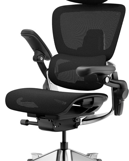 HINOMI H2 Pro Premium Ergonomic Office Chair - Comfy Home Office Desk Computer Chair with Adjustable Back Support, Swivel Wheels, Flip-up Arms, Comfortable Mesh Seat for Desk Work (Black)