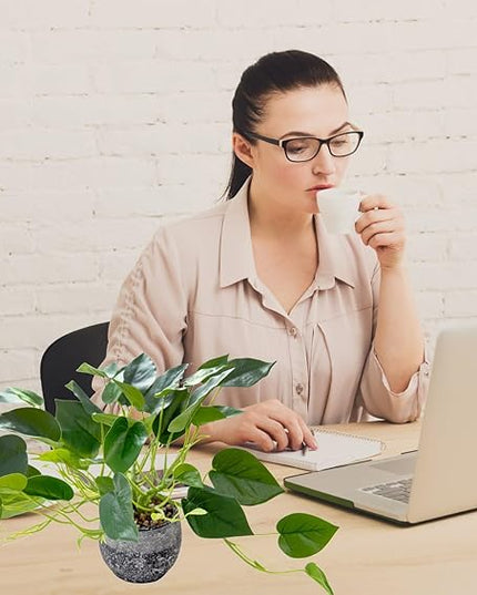 AlphaAcc Artificial Plants Potted Real Looking Small Faux Plant with Rustic Black Cement Planter for Kitchen Office Desk Bookshelf Decor (Ivy Plant)