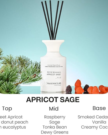 M&SENSE Reed Diffuser Set, 10.14 fl oz Large Reed Diffuser, Apricot Sage Scented with Natural Essential Oils, Long Lasting with 7 Sticks, Non-Toxic Home Fragrance Reed Diffuser for Bedroom, Bathroom