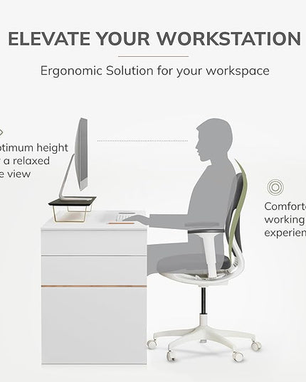 Anji Mountain Monitor Stand - Desktop Organizer & Laptop Riser, Ergonomic Monitor Riser, Space-Saving Monitor Stand for Desk, Durable Construction, Easy Assembly, Ideal for Home & Office,Black
