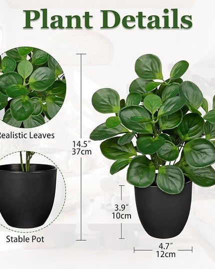 Villa Como 14.5" Artificial Plants Indoor Home Decor, Fake Potted Silk Plants for Shelves Living Room Decorative, Small Artificial Office Desk Plants in Pots, Faux Peperomia Hope Tropical House Plant