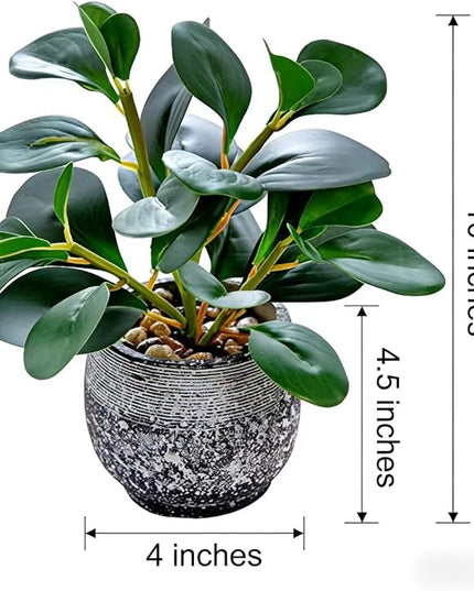AlphaAcc Artificial Plants Potted Real Looking Small Faux Plant with Rustic Black Cement Planter for Kitchen Office Desk Bookshelf Decor (Ficus Plant)