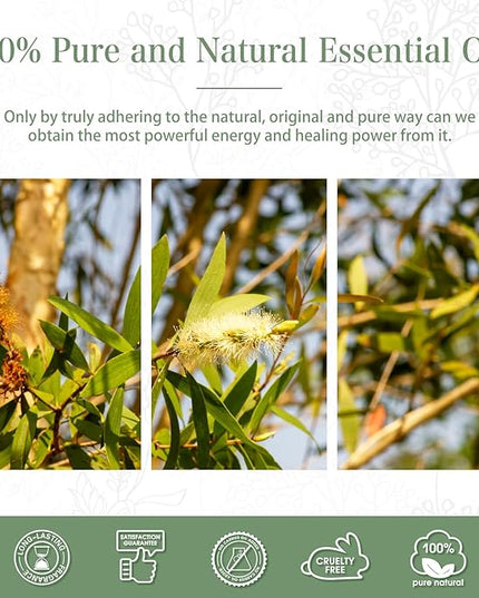 Australian Tea Tree 1.01fl.oz Essential Oil, PHATOIL Pure Aromatherapy Oils for Diffuser, Humidifier, Perfect for DIY Soap, Candle, Bath Bombs Making(30ml)