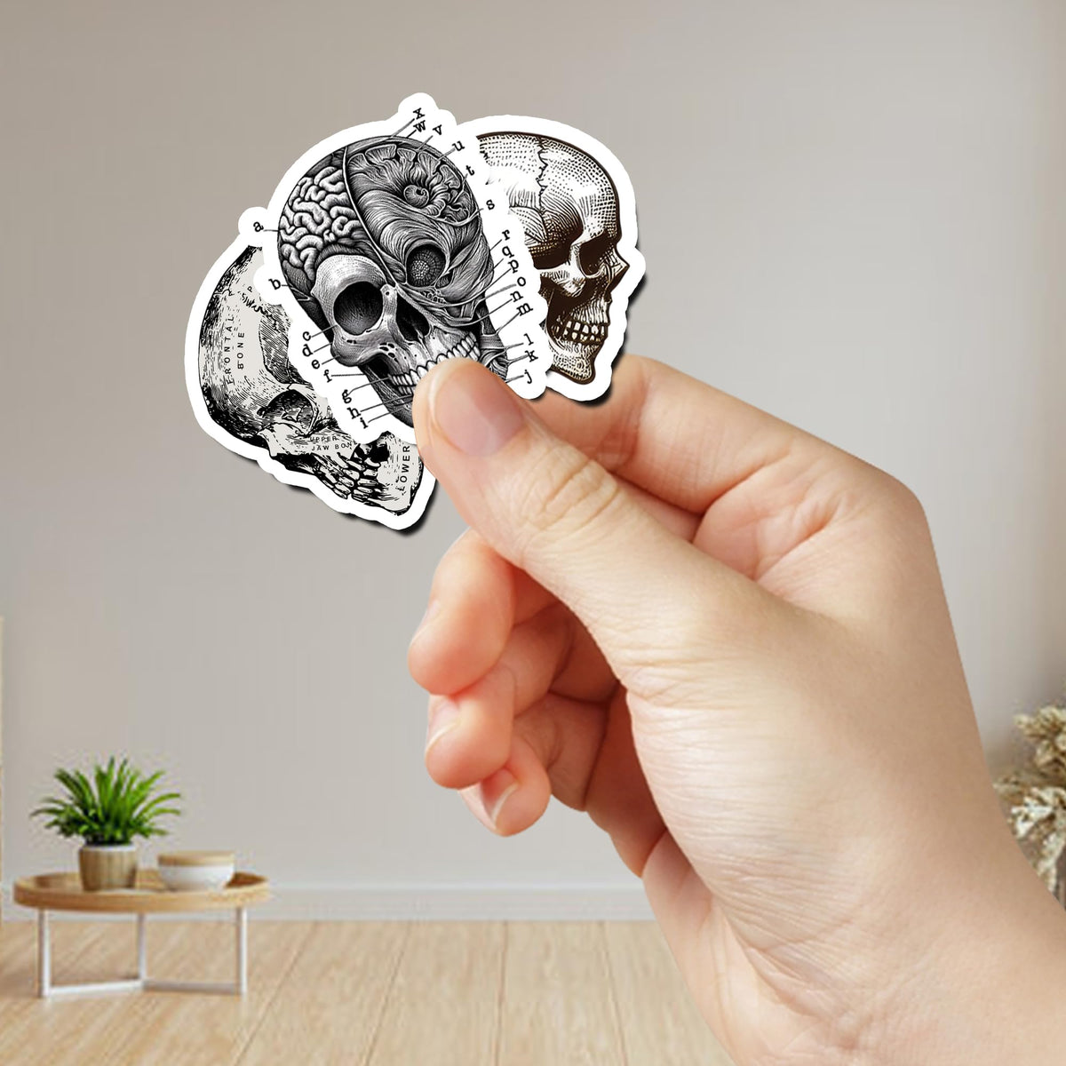 WESILY Pack 50 PCS Vintage Anatomy Stickers Aesthetic Human Skeleton Waterproof Sticker Vinyl Decals Patches Laptop Water Bottle Notebook Ephemera Scrapbooking Gifts for Kids Teens Adults