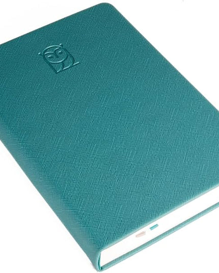 Undated Daily Planner – 6-Month A5 Productivity Organizer with Full Page Per Day, Hourly Schedule, Goal Setting, Habit Tracker, Weekly & Monthly Pages – Hardcover Time Management Notebook (Turquoise)