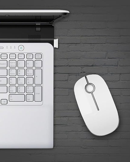 VssoPlor Wireless Mouse, 2.4G Slim Portable Computer Laptop Mouse with Nano Receiver Quiet Silent Optical Mice for Notebook, PC, Laptop, Computer-White and Silver