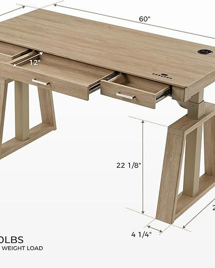 EUREKA ERGONOMIC Standing Desk,60x26 Executive Desk with 3 Drawer Adjustable Height Electric Desk Home Office Computer Desk Modern Workstation with Memory Controller