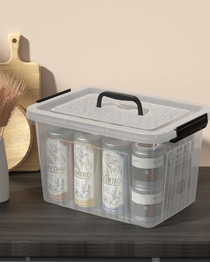 Set of 4 Storage Bins with Latch Lids, Clear Plastic Storage Box with Handle, 18 L