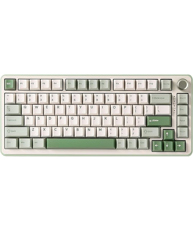 YUNZII B75 PRO Wireless Mechanical Keyboard,75% Layout with Knob,Hot Swap Gasket Structure,Creamy Pre-lubed Switches,RGB Backlit,Bluetooth/Type-C/2.4G for Win/Mac (Matcha Green, Cocoa Cream V2 Switch)