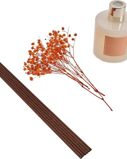 Cocorrína Premium Reed Diffuser Set with Preserved Baby's Breath & Cotton Stick Coconut Lime | 6.7oz Scent Fragrance Oil Diffuser for Bedroom Bathroom Home Décor