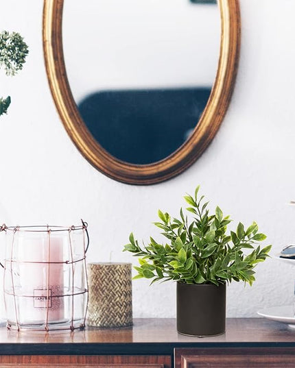 3 Pack Small Fake Plants for Shelf Decor Accents with Ceramic Pot Artificial Potted Plants for Rustic Farmhouse Decor Faux Plants Indoor Fake Potted Plants Artificial for Home Office Bookshelf Decor