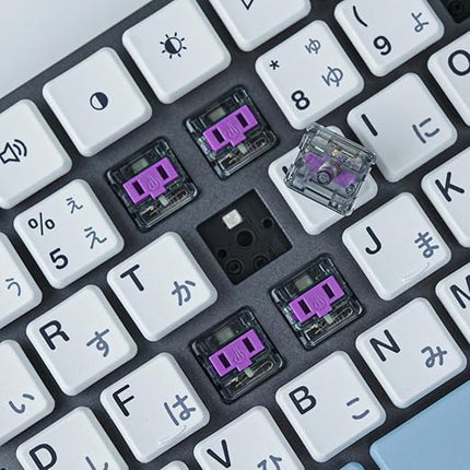 PG1350 Choc V1 Low Profile Keyboard Switches,5-Pin 20-70gf for Kailh Choc V1 Switch clicky&Linear and Tactile for Chocolate Mechanical Gaming Keyboard,Built-in LED Slot (Purple-35Pcs)