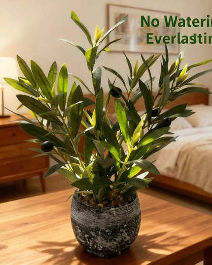 Ewtogift Indoor Faux Olive Plant 12 inch Artificial Silk Leaves in Elegant Planter Perfect Fake Olive Branches with Realistic Trunk and Lifelike Fruits Tabletop Greenery Decor for Home Office