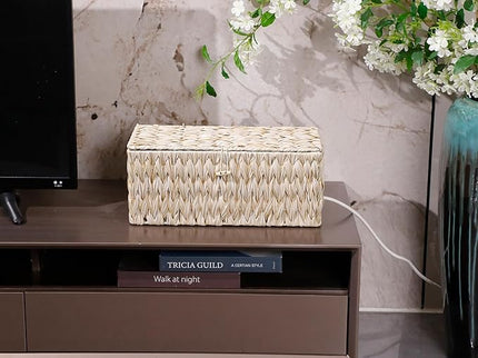 Cable Management Box,Boho Decorative Handwoven 2 Open Slots Cord Organizer Hider Box with Lid for TV Wires, Computer, Router, USB Hub and Under Desk Power Strip