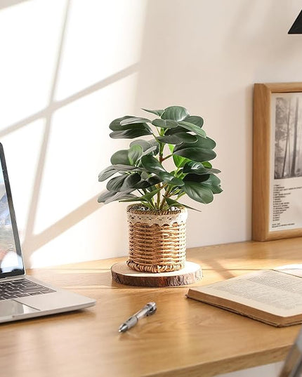 Nubry 2 Pack Fake Plants Artificial Potted Plants with Weaved Pot for Shelf & Table Desk | Perfect for Home Office Bathroom Farmhouse Room Coffee Table Decor 10‘’