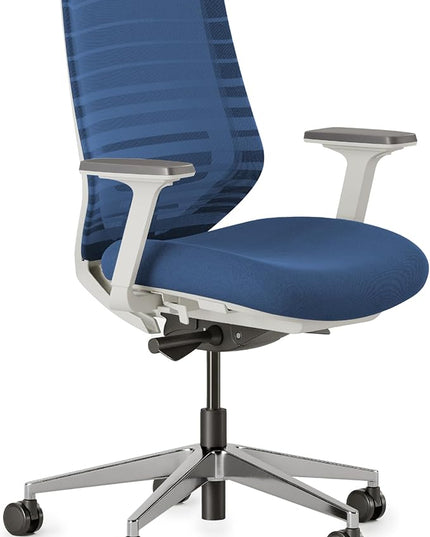 Branch Ergonomic Chair - A Versatile Desk Chair with Adjustable Lumbar Support, Breathable Mesh Backrest, and Smooth Wheels - Experience Optimal Comfort and Support - Baltic